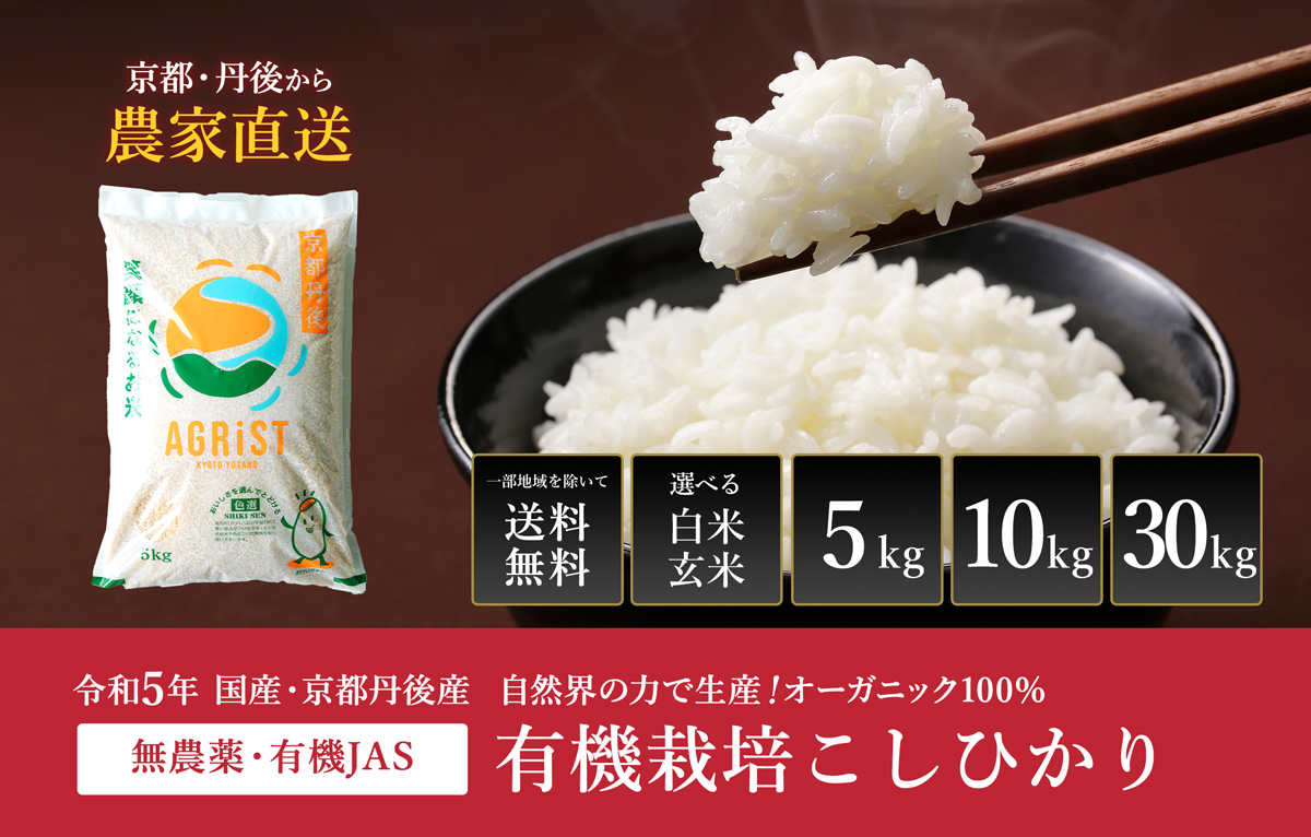 1☆減農薬／低農薬／無農薬／お米☆コシヒカリ／１０キロ - 米