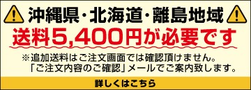 (プレミア保証プラス付き)丸山製作所　エンジンセット動噴MS317EA