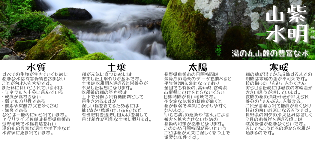 長野県産 風さやか 白米 30kg 5kg×6 農家直送 送料無料 産地直送 長野県産 風さやか 白米 30kg 5kg×6 農家直送 送料無料 産地直送