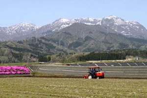 福井県産コシヒカリ白山しずく