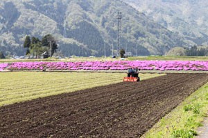 福井県産コシヒカリ白山しずく