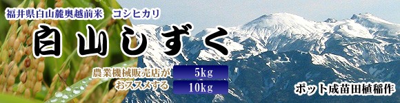 コシヒカリ 【令和7年度産】コシヒカリ 2kg 白山しずく 米 お米 白米