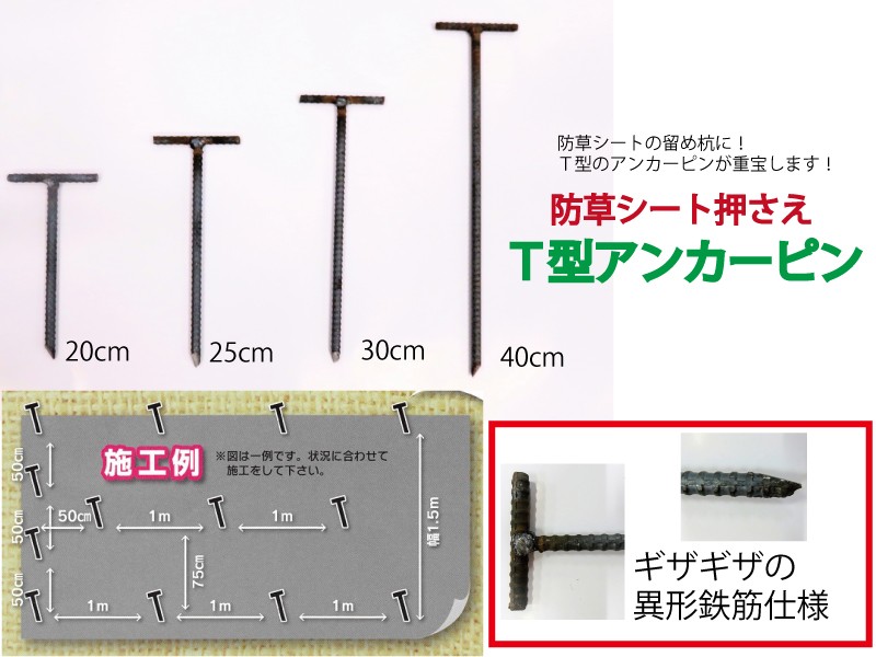 T型アンカーピン 防草シート押さえ杭 10本絡げ F10mm 50cm 異形鉄筋 T Anchor50 農林 園芸 汎用機の店 アギラ 通販 Yahoo ショッピング