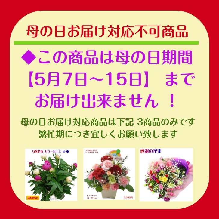 花 ギフト 誕生日 生花アレンジメント「メルシー Lサイズ」歓送迎 入学祝い 卒業祝い プレゼント｜aguri99｜03