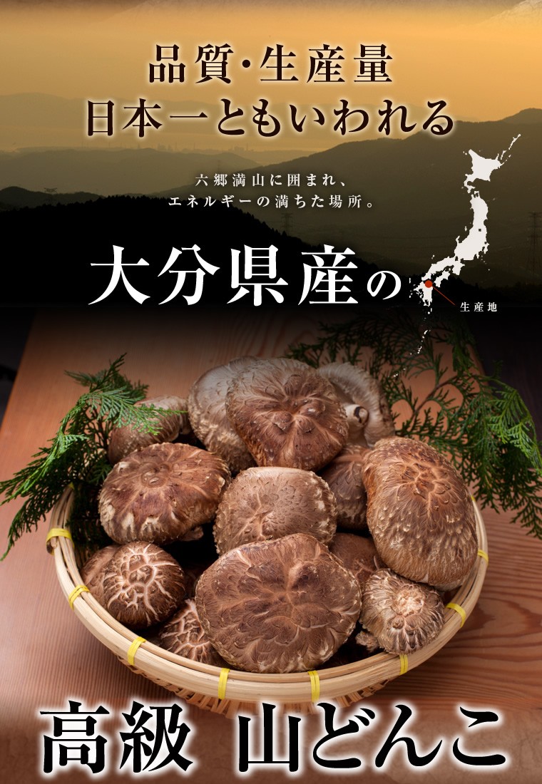 椎茸 しいたけ 大分県産 「こうこ」 200ｇ 天日干し 原木栽培 [国産/干ししいたけ/どんこ] :KFS-001:あぐりの匠 Yahoo!店 -  通販 - Yahoo!ショッピング