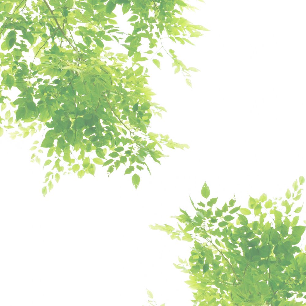 和歌山の無農薬