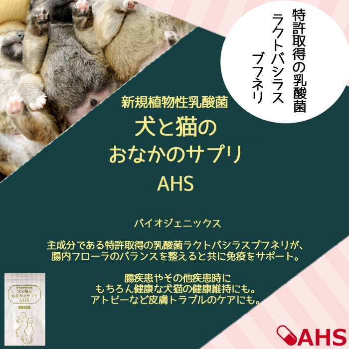 乳酸菌 犬と猫のおなかのサプリAHS 100粒 - サプリメント