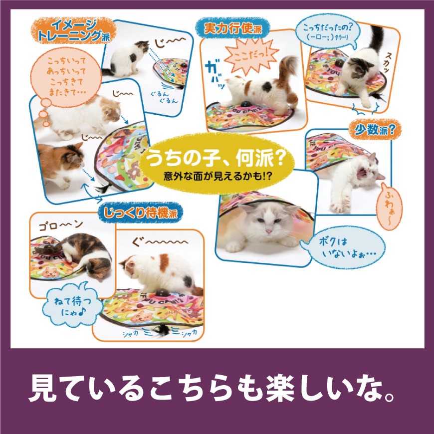 キャッチミーイフユーキャン2 猫 おもちゃ 猫壱 SPORT PET : AIAI