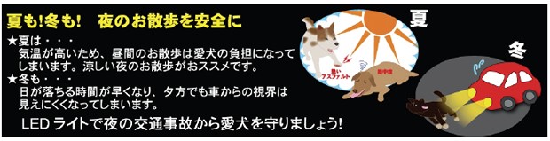 犬 散歩 ライト LED ナイトアイズ ペットリットNITE IZE 犬猫用品 ペット 首輪 安全対策 お出かけ  ※メール便対応、日時指定、代引き、他商品同梱不可 :0094664022300-8type:AIAI(アイアイ) - 通販 - Yahoo!ショッピング