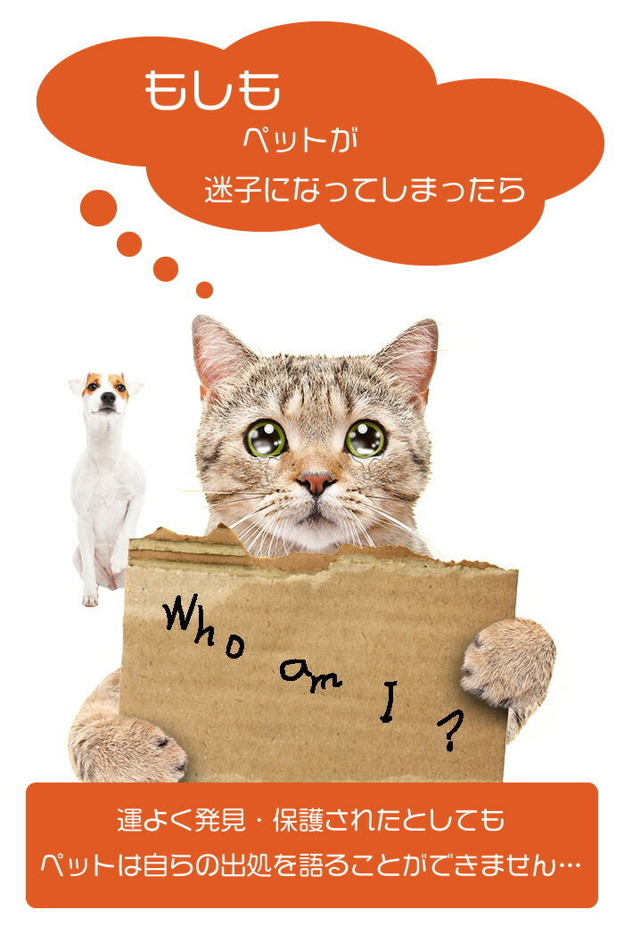 にくQR ペット 迷子