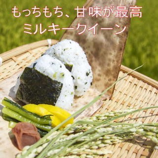 ミルキークイーン セール 米5kg 白米 令和7年 会津産 送料無料