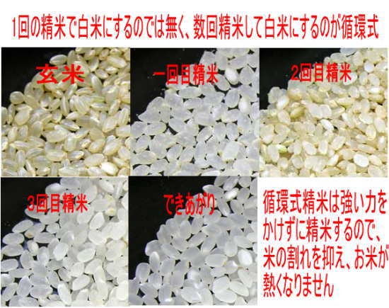 seimaihou550435.jpg