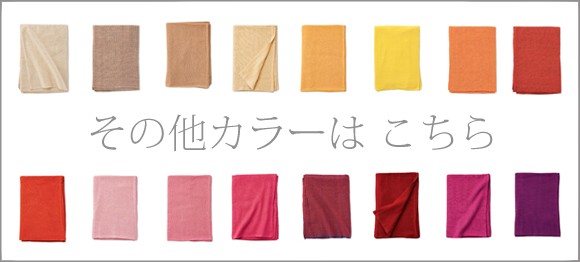その他カラーはこちら