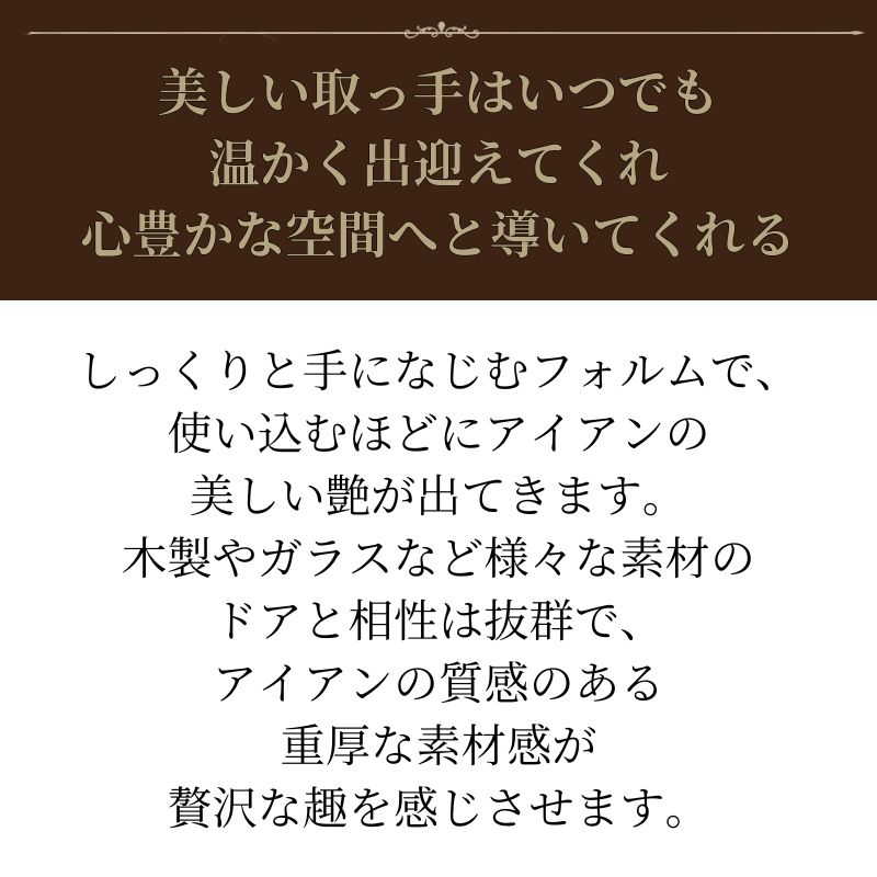 取っ手 ドア おしゃれ アイアン ドアハンドル 玄関 鉄 店舗 建具 建材