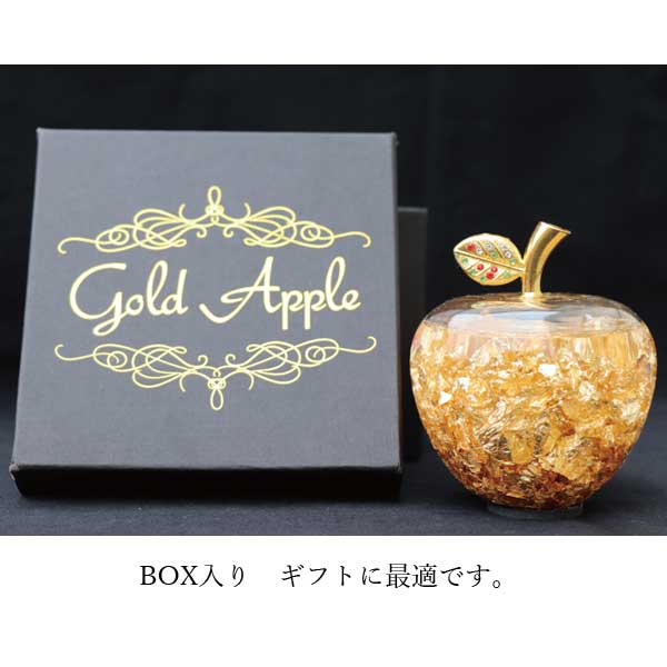 Apple - 林檎出品 r6yjsr6ytg.jpg