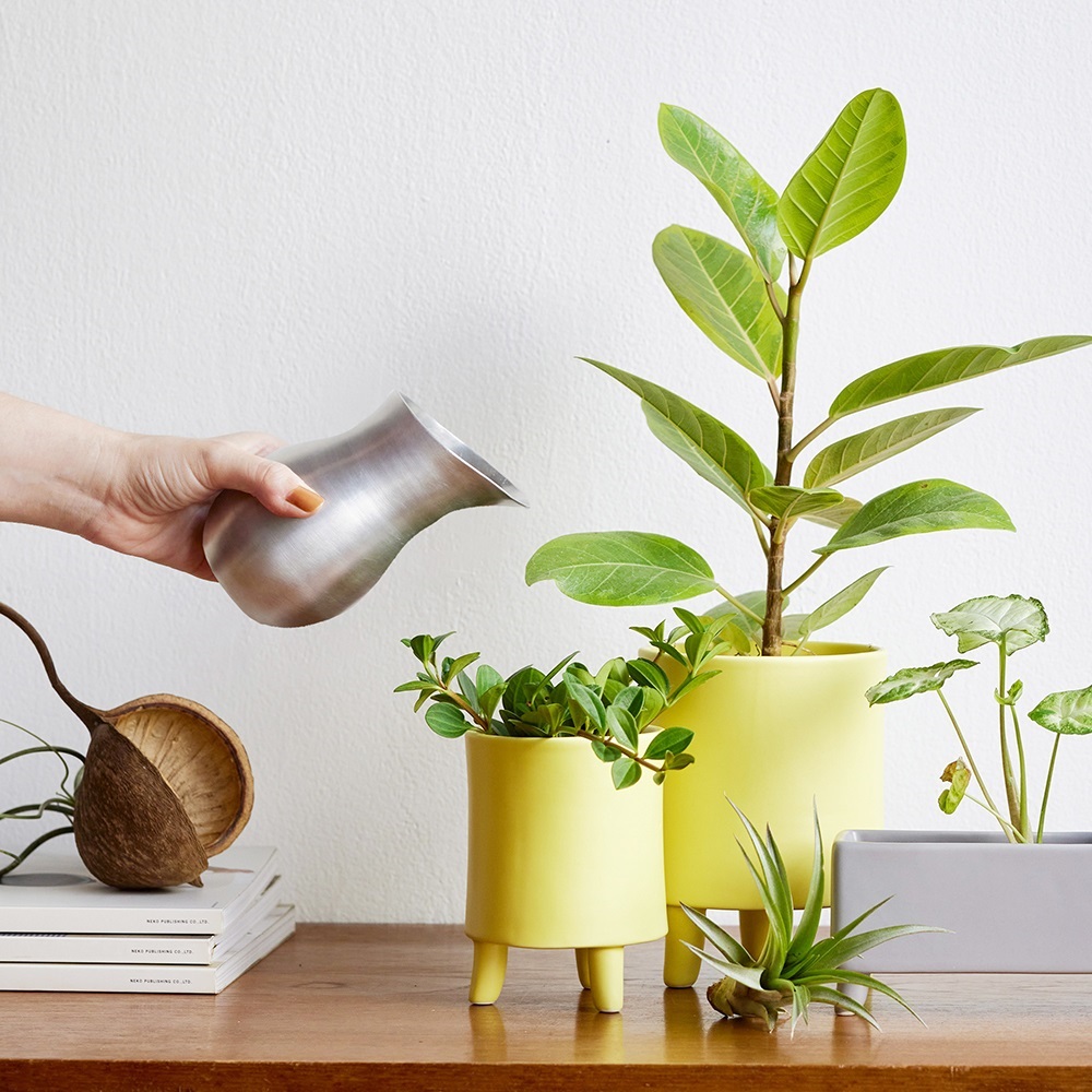 水やりにちょうど良いアルミの水差し L Horn Please 志成販売 : aifa