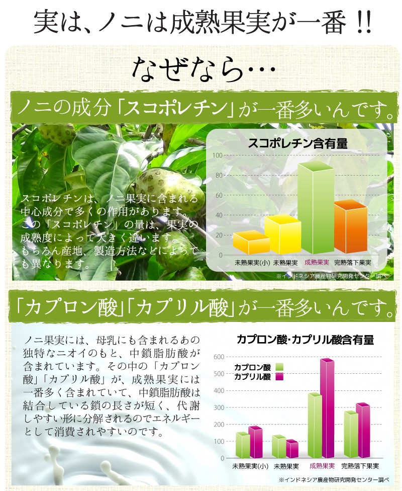 ノニは成熟果実が一番！なぜなら