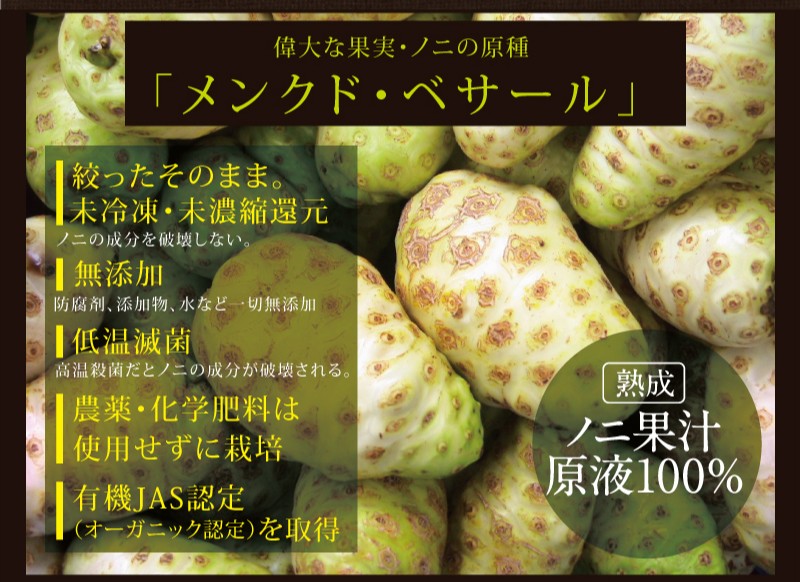 偉大な果実・ノニの原種「メンクド・ベサール」