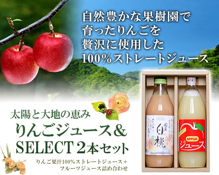 お中元 お返し 送料無料 太陽と大地の恵み りんごジュース（ストレート