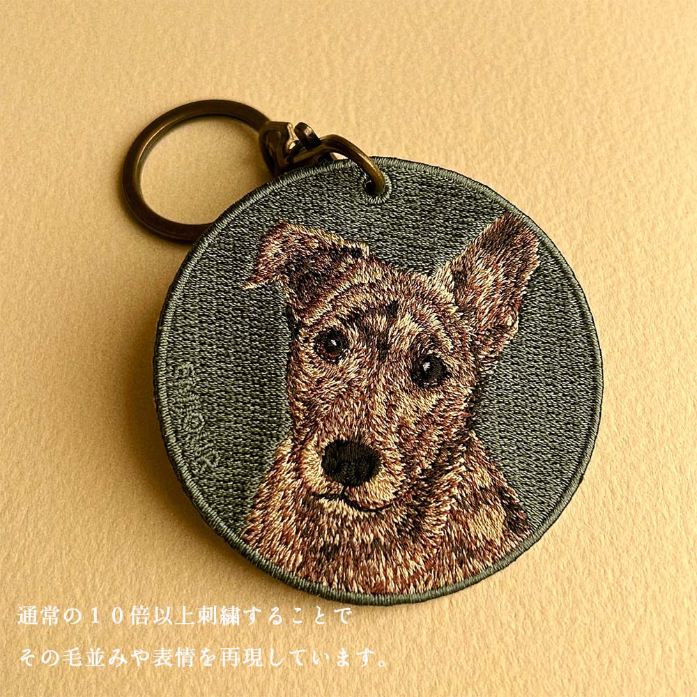 dog-10_4.jpg