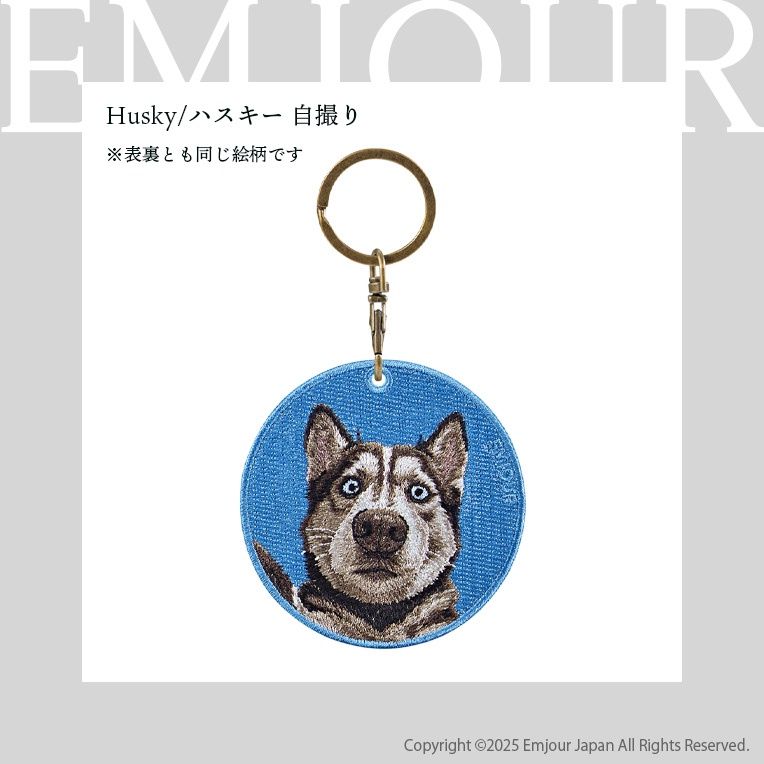 CavariA（キャバリア） ハスキー ブラック 犬 dog アニマル 動物