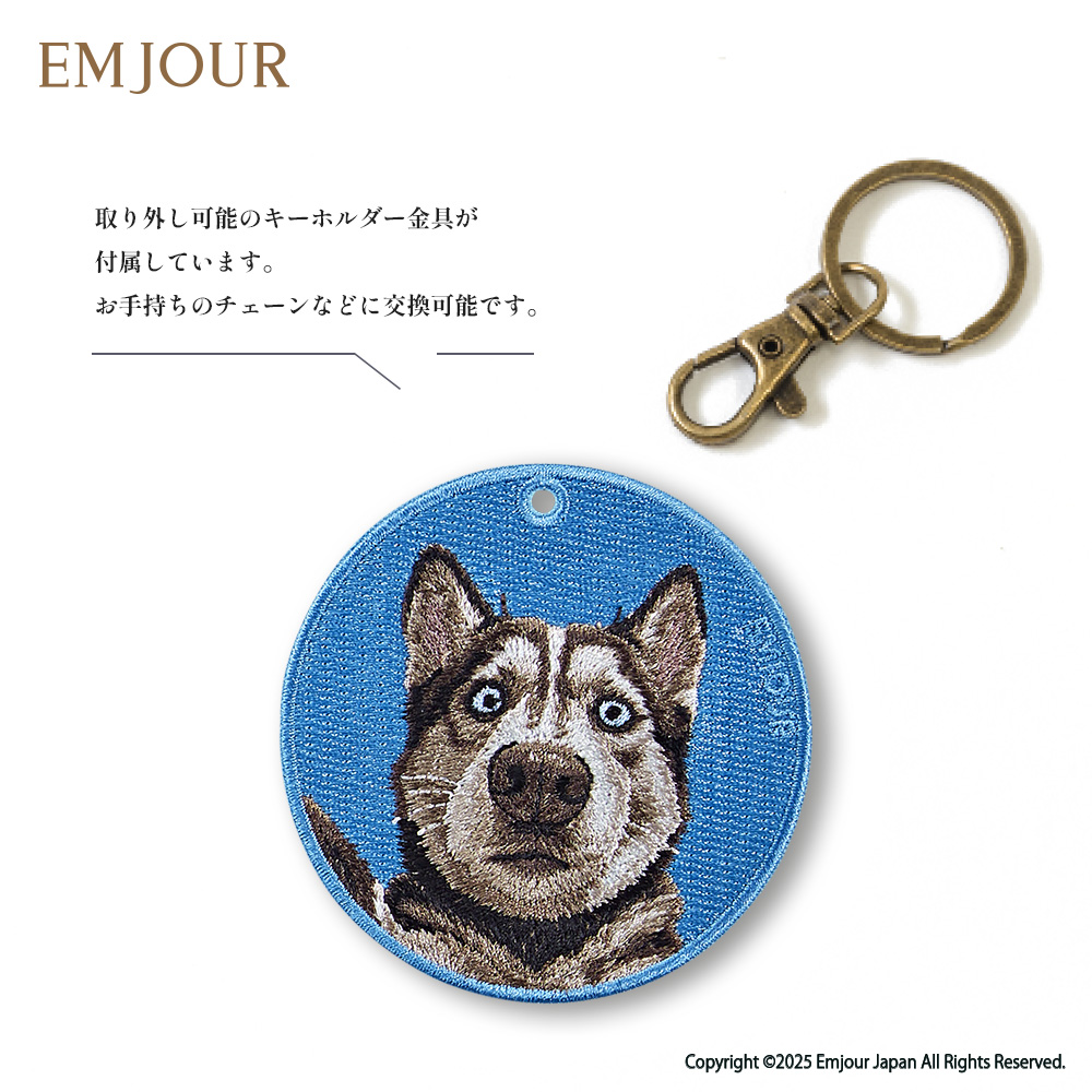 CavariA（キャバリア） ハスキー ブラック 犬 dog アニマル 動物
