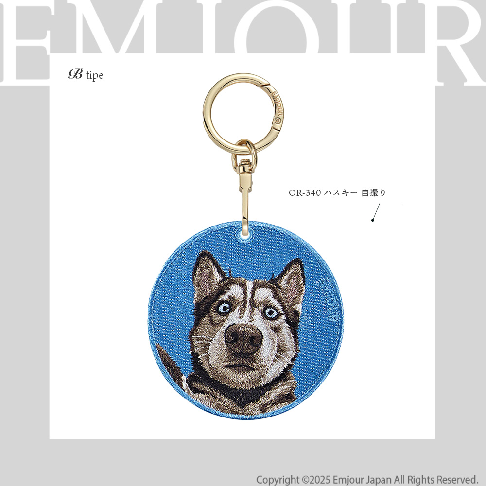 CavariA（キャバリア） ハスキー ブラック 犬 dog アニマル 動物
