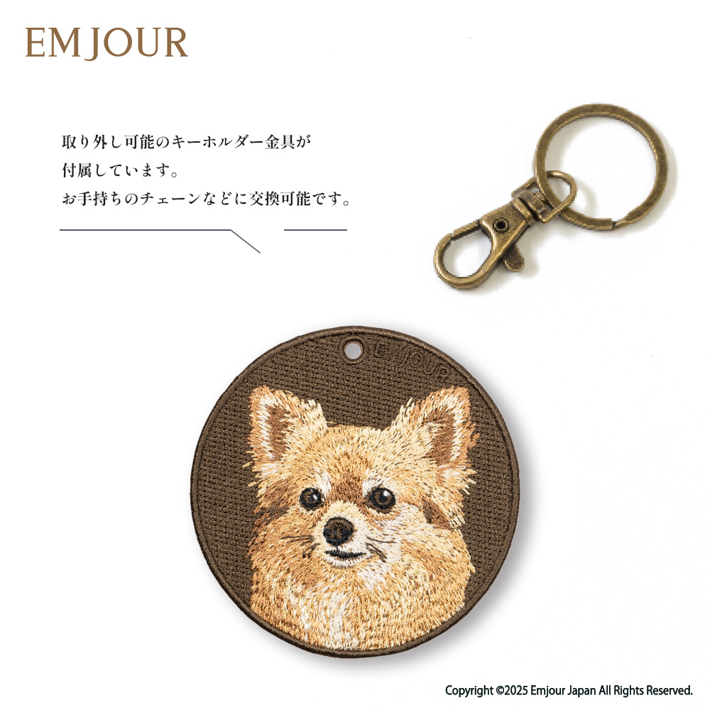 チワワ ロングコートチワワ 犬 dog ペット プレゼント ギフト 贈り物