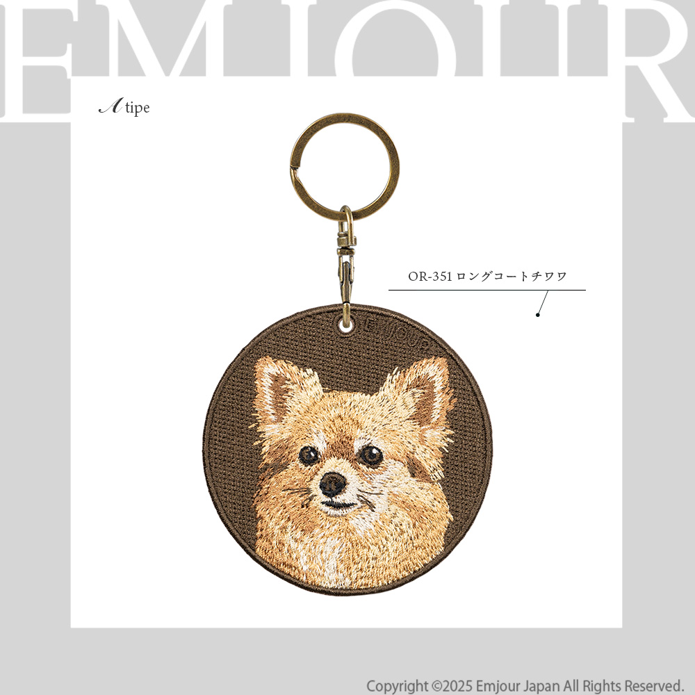 チワワ ロングコートチワワ 犬 dog ペット プレゼント ギフト 贈り物