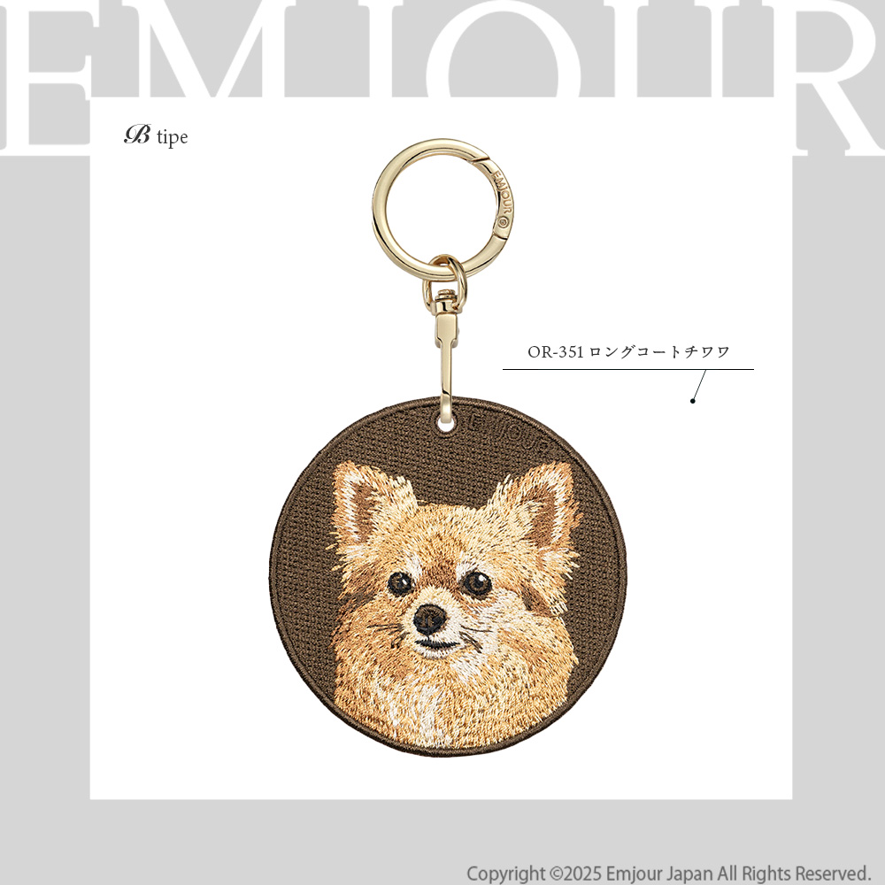 チワワ ロングコートチワワ 犬 dog ペット プレゼント ギフト 贈り物