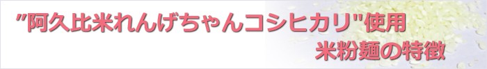 米粉うどん セット 米粉　麺　小麦卵アレルギー　アトピー　食塩不使用　グルテンフリー愛知県　れんげ農法　コシヒカリ