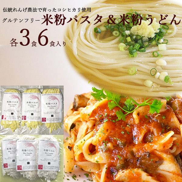 米粉うどん セット 米粉　麺　小麦卵アレルギー　アトピー　食塩不使用　グルテンフリー愛知県　れんげ農法　コシヒカリ