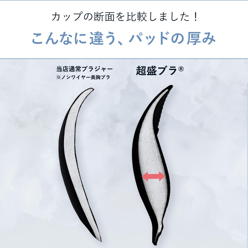 ブラジャー ショーツ セット シェノンフルール...の詳細画像4