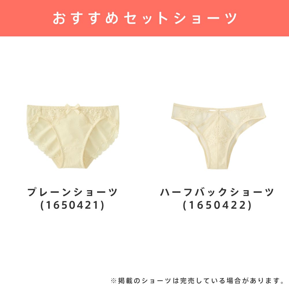 ブラジャー 大きいサイズ カシュクールレース 脇高ブラ FGHカップ 脇肉 グラマラス グラマーサイズ ブラセット ブラ 脇高 背肉 スッキリ 補整ブラ 補整下着 | aimerfeel | 22