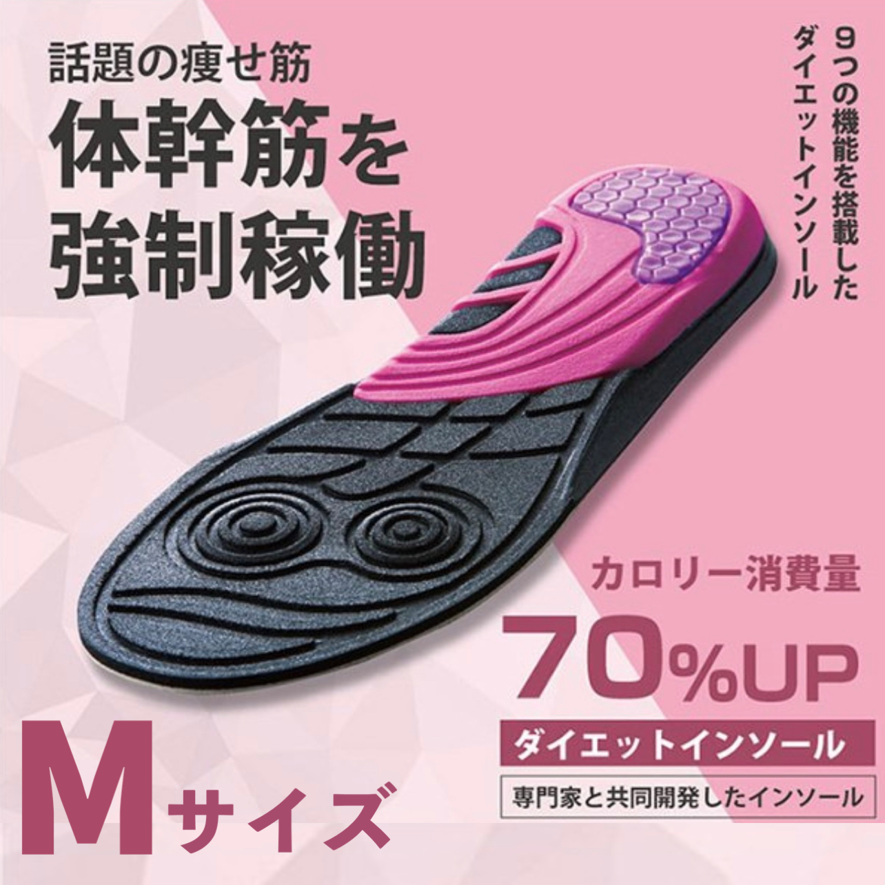 カロリー消費量アップインソール23-24.5cmブラック2組 ダイエットインソール 中敷 体幹筋エクササイズインソール ツイン