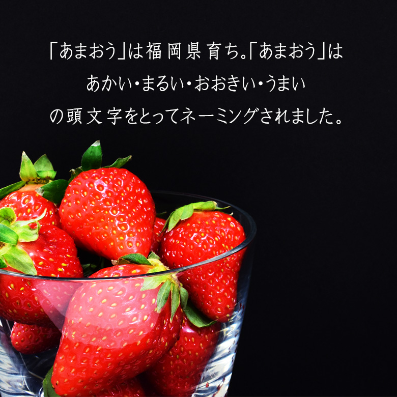 【人気＆厳選 いちご ギフトＦ福岡産 あまおう 2パック】ast3 イチゴ 苺 果物 くだもの フルーツ｜aino-kajitu｜02