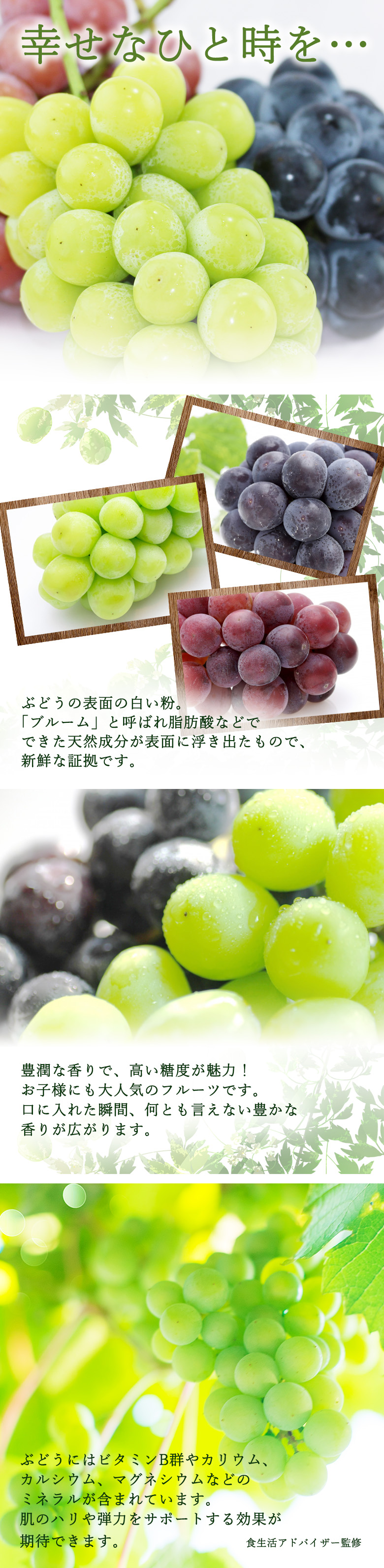 フルーツ ギフト シャインマスカット 果物 セット お供え 内祝い