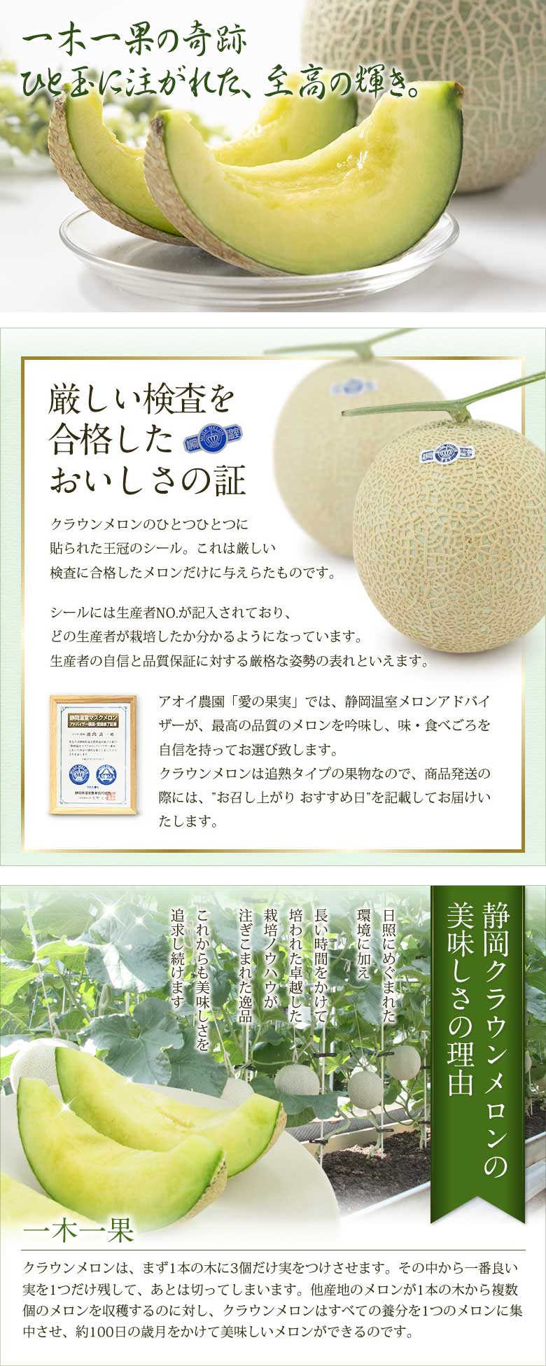 フルーツ ギフト お彼岸 お供え【人気＆高級 ボックス/シャイン