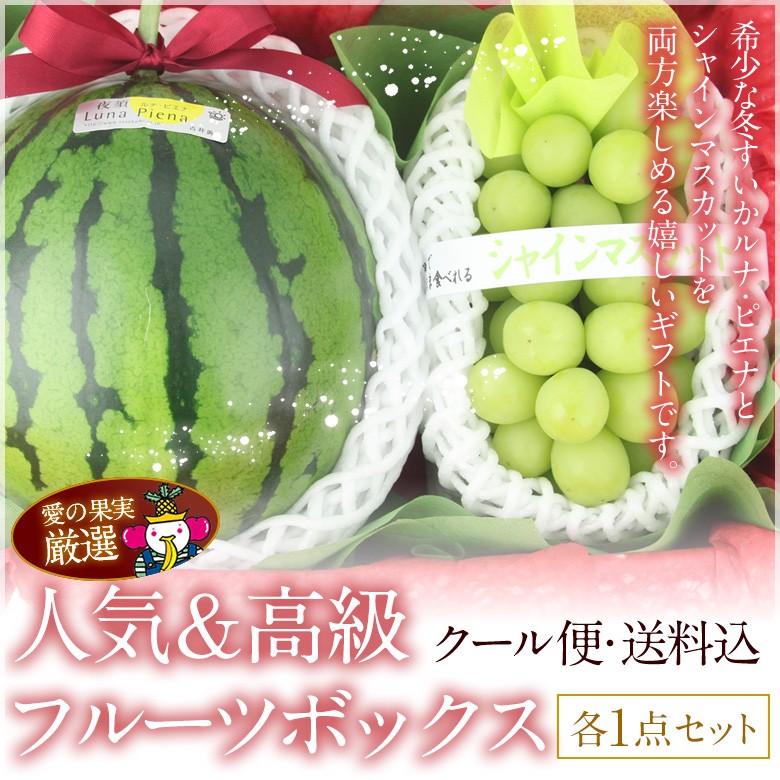 指定不可｜入荷次第発送】フルーツ ギフト スイカ ぶどう 果物【人気