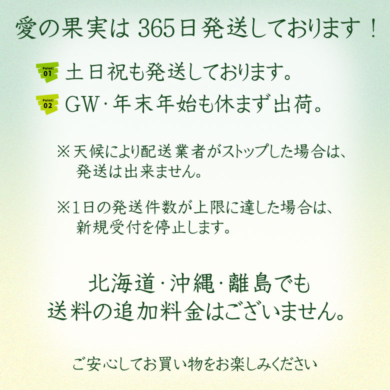 ���������z�I�t���[�c �M�t�g ������ �� �ʕ� �M�t�g ���������y���I�����Y �g���C�`9�`15�����z���C�` ���Y���C�` ���j ���j �������� �֘A�摜3