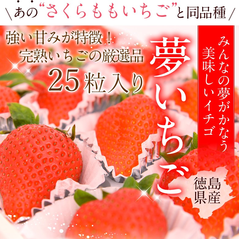 大粒】【夢いちご(品種：ゆめのか)25粒】イチゴ 苺 果物 くだもの フルーツ 敬老の日 お彼岸 七五三 ハロウィン お歳暮 :ichigo-yui5500:愛の果実  - 通販 - Yahoo!ショッピング