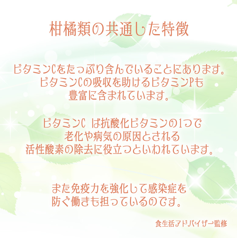 フルーツ ギフト 【国産 柑橘 3種 食べ比べギフトセット(12個入) 】柑橘 みかん くだもの 果物 誕生日 内祝 お祝 |  | 03