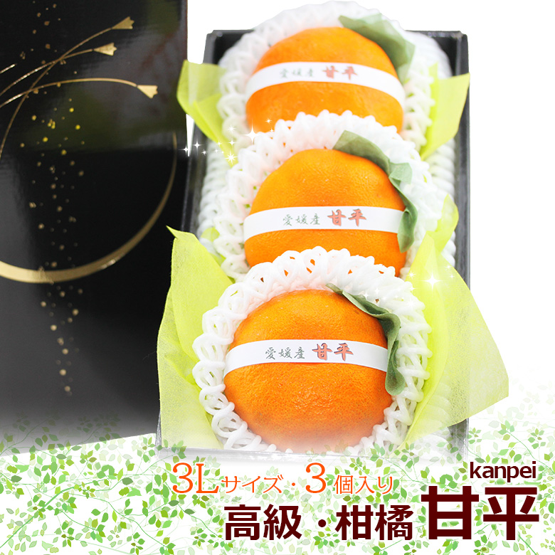kanpei3l-3.jpg
