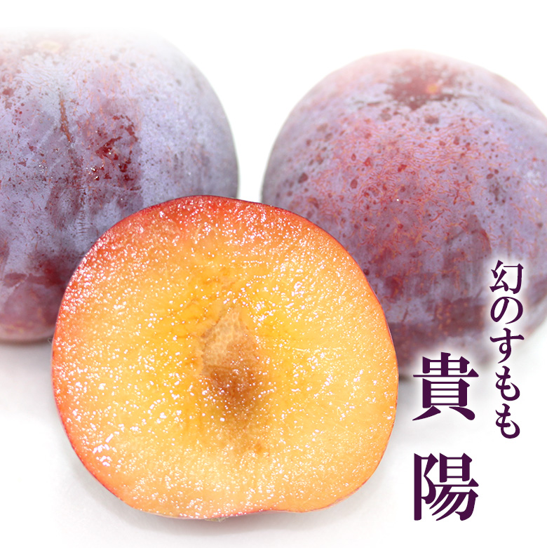 完熟 貴陽(きよう)プラム【山梨産または長野県産】すもも 6個入 :kiyou-6:愛の果実 - 通販 - Yahoo!ショッピング