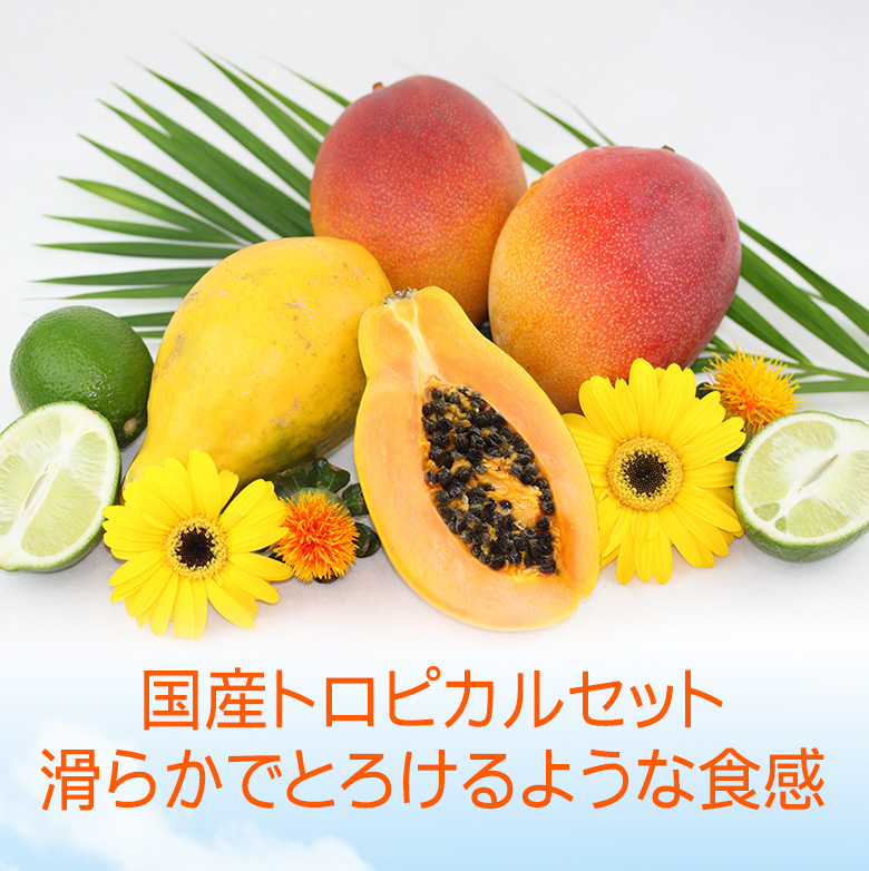 フルーツ ギフト 母の日 父の日 誕生日【厳選 国産 トロピカル