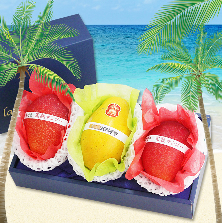 フルーツ ギフト 夏ギフト お中元 父の日 誕生日【厳選 国産