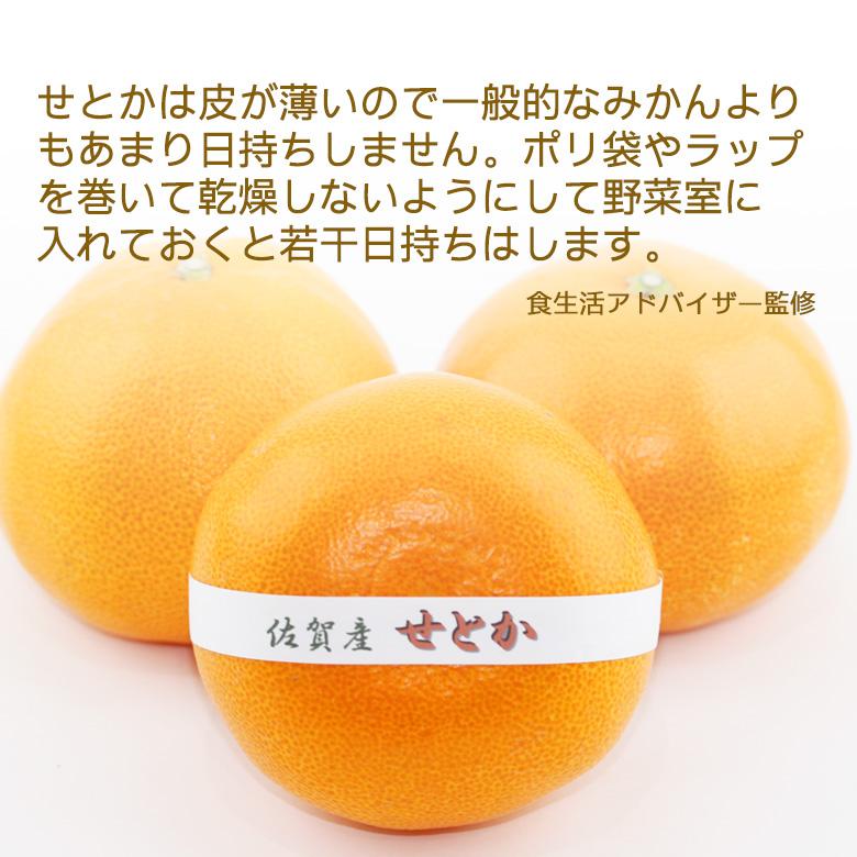 【せとか(長崎産 佐賀産)4L 8個入】みかん 蜜柑 柑橘 フルーツ くだもの 果物｜aino-kajitu｜04