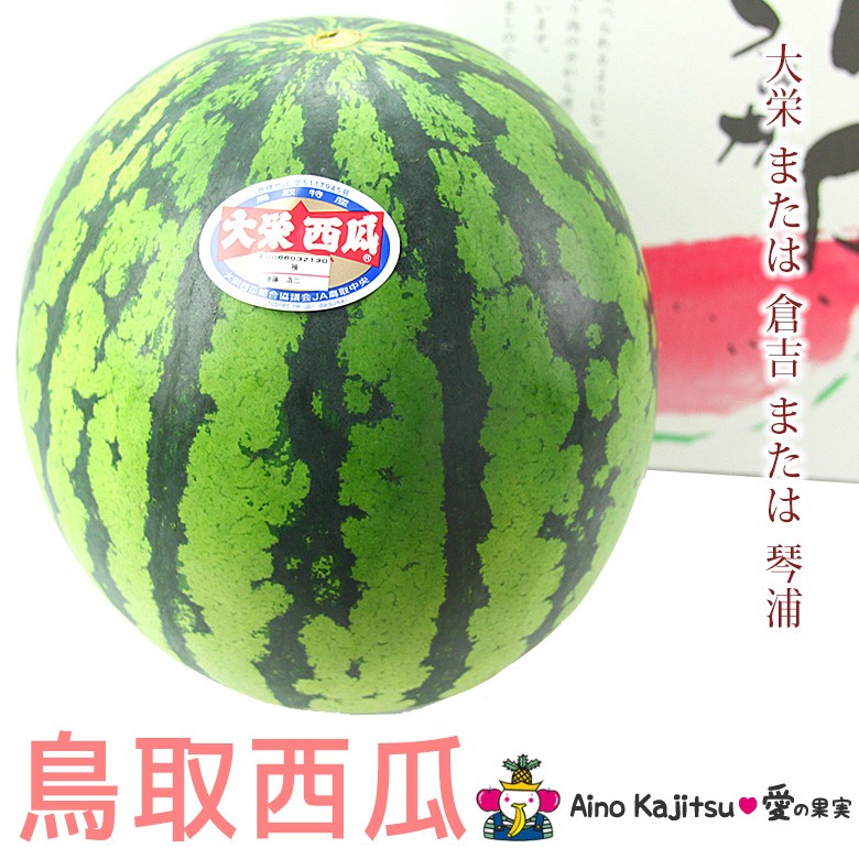 フルーツ ギフト お中元 夏ギフト 【鳥取 西瓜 大玉（大栄 倉吉