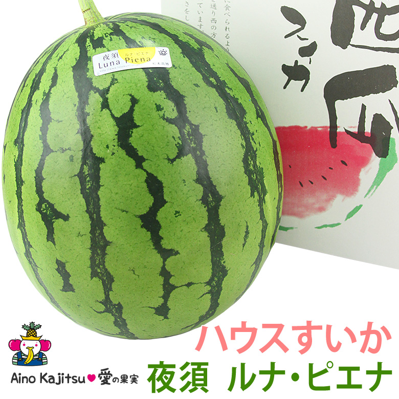 専用))高知県産【ルナピエナスイカ】温室スイカ 高糖度 お得に3玉 【小玉】 小玉すいかの逸品 高知県夜須ルナピエナすいかが美味しいです