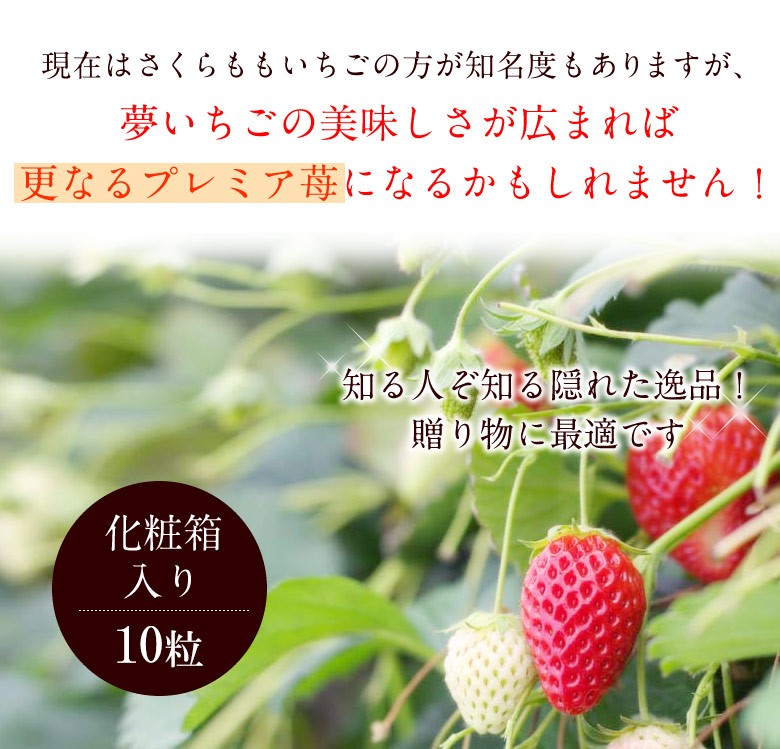 指定不可：最短発送】フルーツ ギフト【夢いちご(品種：ゆめのか